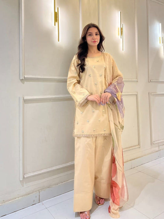 ASHIYANA 3PCS FARSHI