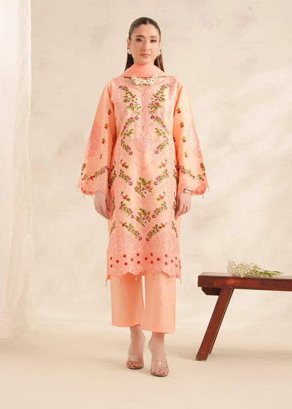 Coral 3pcs