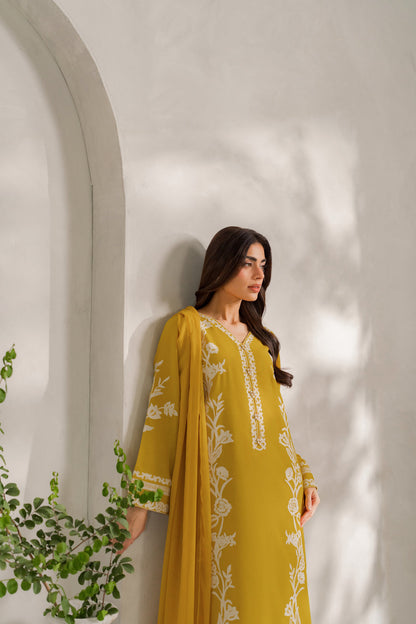 Mehnaaz