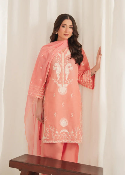 Fiza 3Pcs
