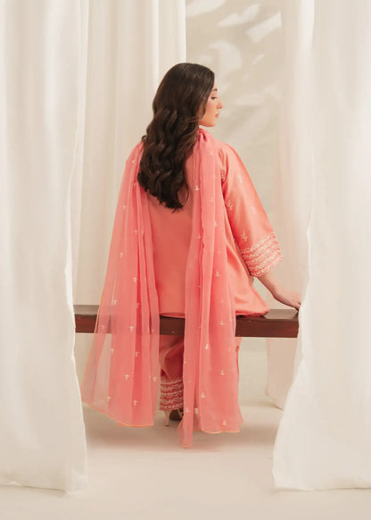 Fiza 3Pcs