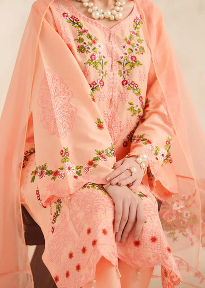 Coral 3pcs