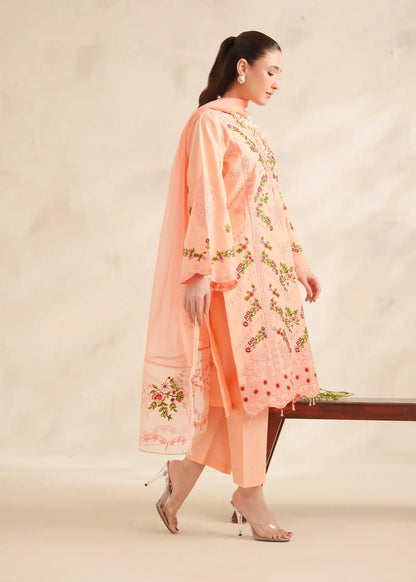 Coral 3pcs